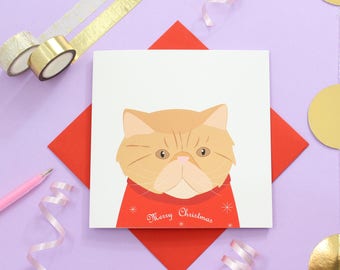 Christmas Persian cat card
