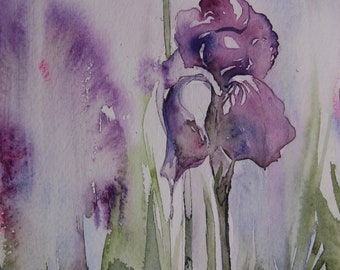 Two Irises, Original Watercolor
