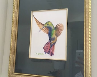 Framed Watercolor on Paper Hummingbird