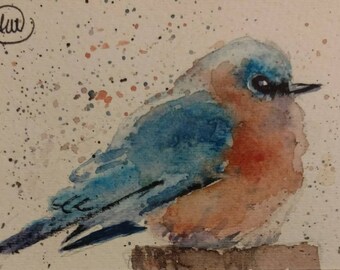 cold BLUE BIRD - ACEO original watercolor painting