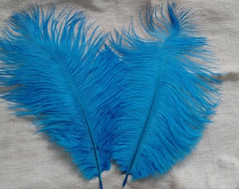 set of 2 blue ostrich feathers