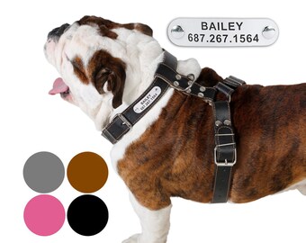 Leather Dog Harness Adjustable Size Medium Large PERSONALIZED ID TAG Black Brown Pink