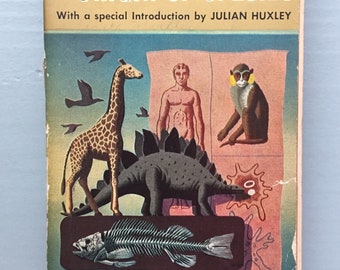 Origin of Species Charles Darwin Paperback Mentor 1958