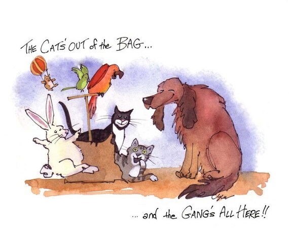 Funny Pets Card Animals Birthday Card Dog Cat Bunny Rabbit