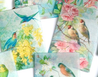 Edible Floral Love Birds x12 Flowers Blossom Trees Wafer Rice Paper Cake Decorations Cupcake Image Cookie Toppers Spring Wedding Favours RTD