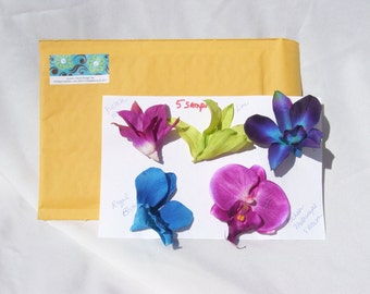 Five Orchid Head Samples