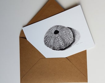 Sea urchin shell, print of a pen- and inkdrawing, double card with envelope