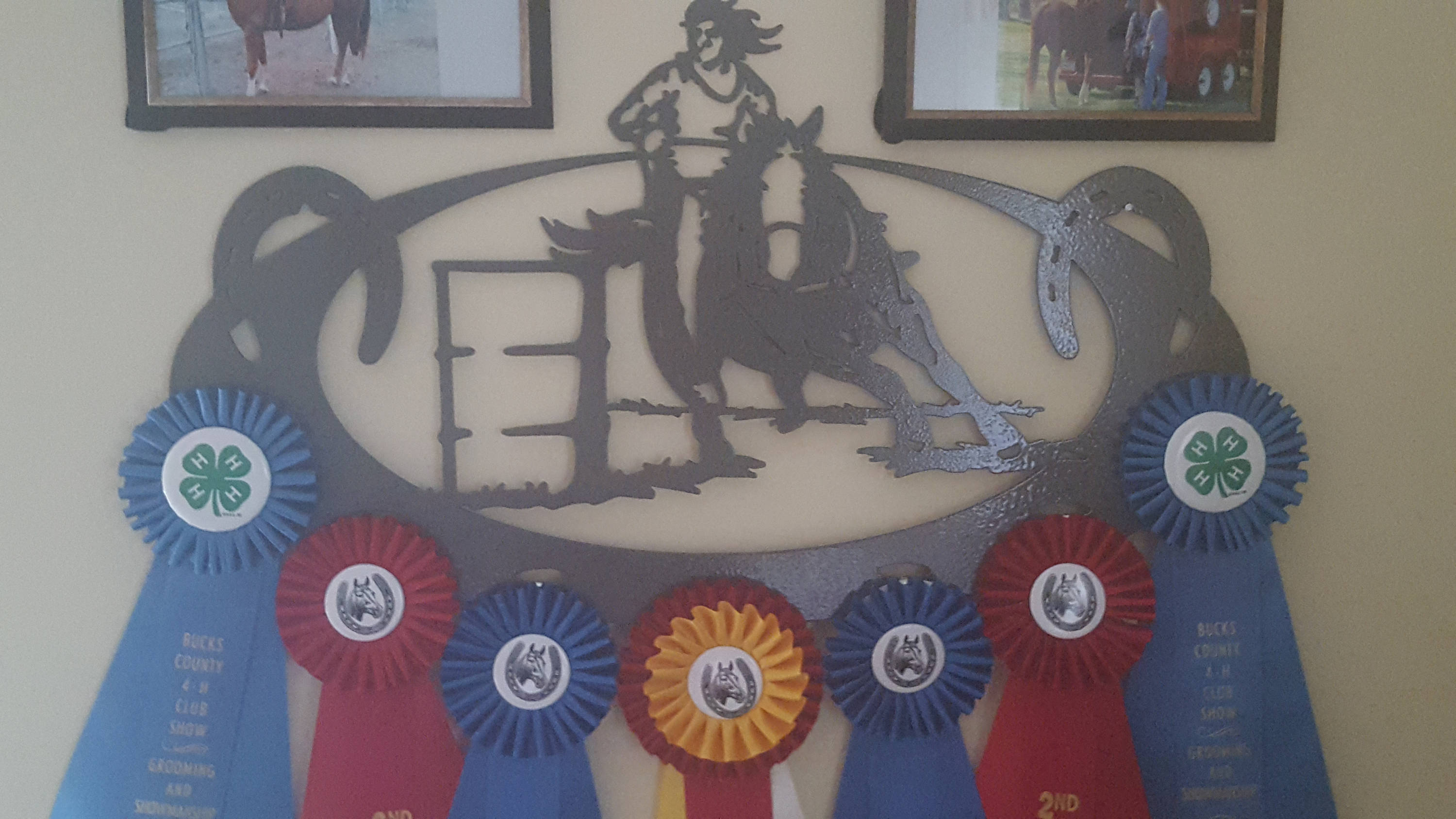 Horse Show Award Ribbon DisplayCustom Ribbon DisplayHorse