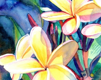 Plumeria Watercolors, Tropical Flowers, Frangipani Art, Kauai Fine Art, Original Plumeria Paintings, Hawaiian Flowers, Hawaii Decor