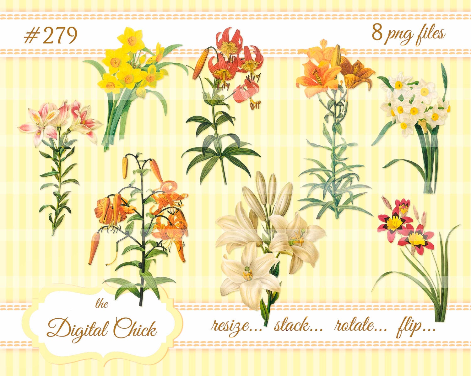 Digital Clipart instant download Vintage Easter Lily Images