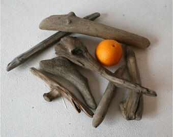 Amazing Shapes Driftwood Pieces, Set of 7, 6-10 inch, Driftwood Assortment, Driftwood Sticks, DIY Driftwood, Driftwood, Home Decor