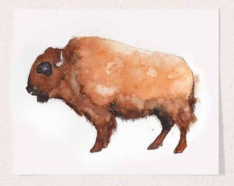 Tatonka Bison Buffalo Watercolor Print