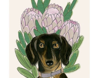 Dachshund print Dachshund art sausage dog art Doxie dog art print - Penelope and the protea 4" X 6" print - 4 for 3 SALE
