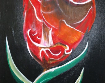 illistrative original painting Tulip