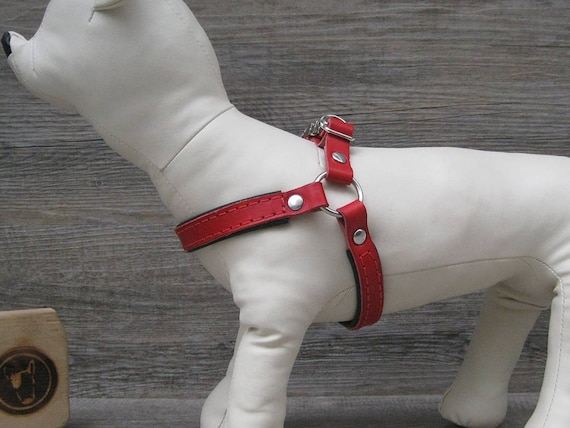 Step In Dog Harness in Red Leather, No Pull Harness for Small Dogs, Comfort and Adjustable Dog Harness, Handmade Colorful Dog Harness