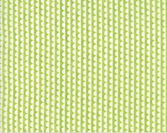 Basics (55037 34) Scallop Green Bonnie & Camille