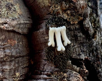 Coyote Toe Bone Necklace - Taxidermy - Animal