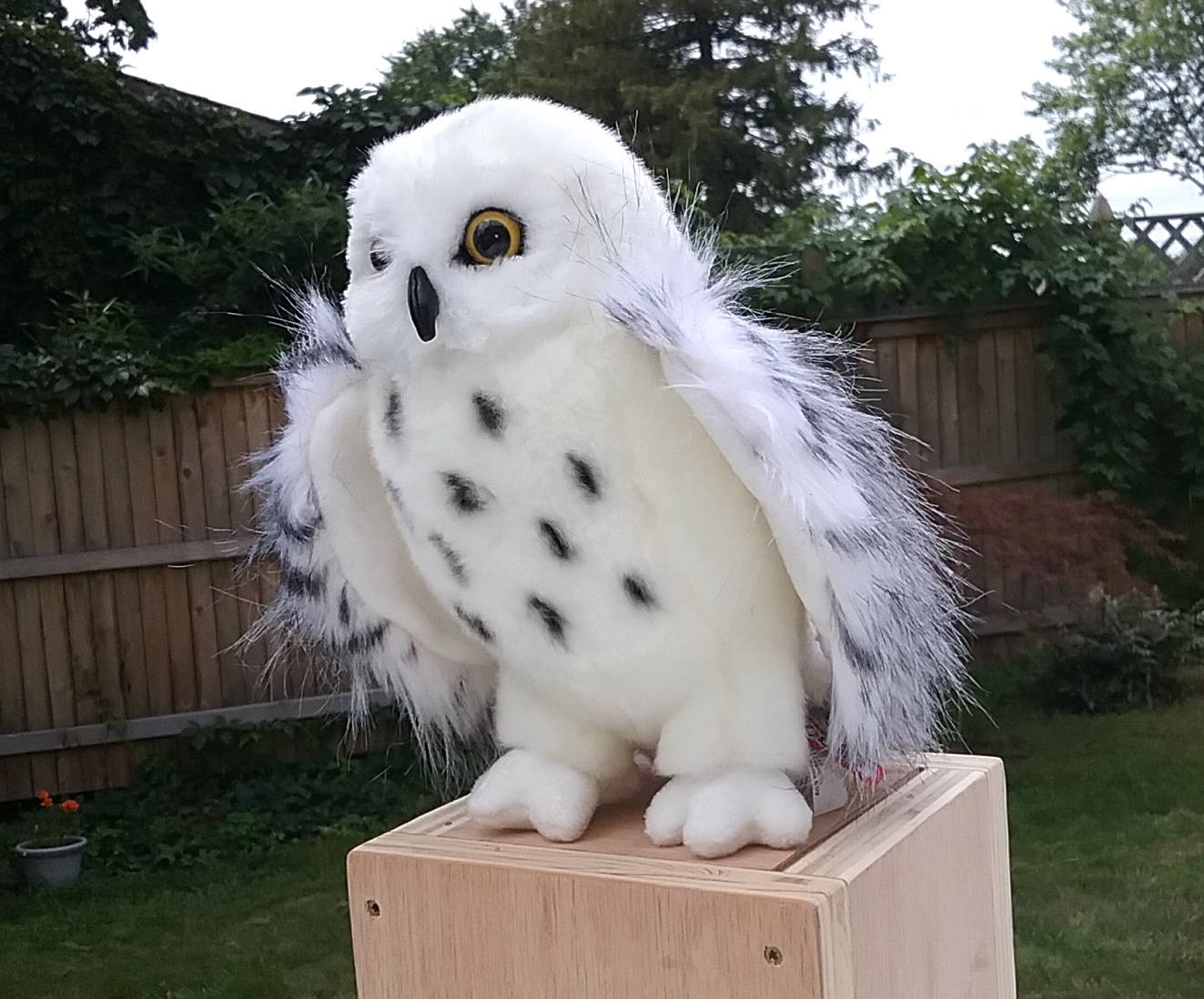 white owl stuffed animal hedwig