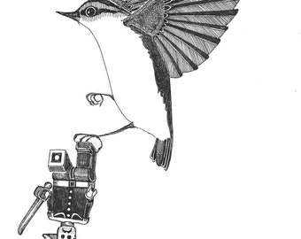nuthatch builds his army starting with a lego pirate -ORIGINAL artwork ink drawing illustration 6 x 8