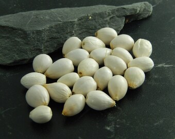 10 Job white seed beads