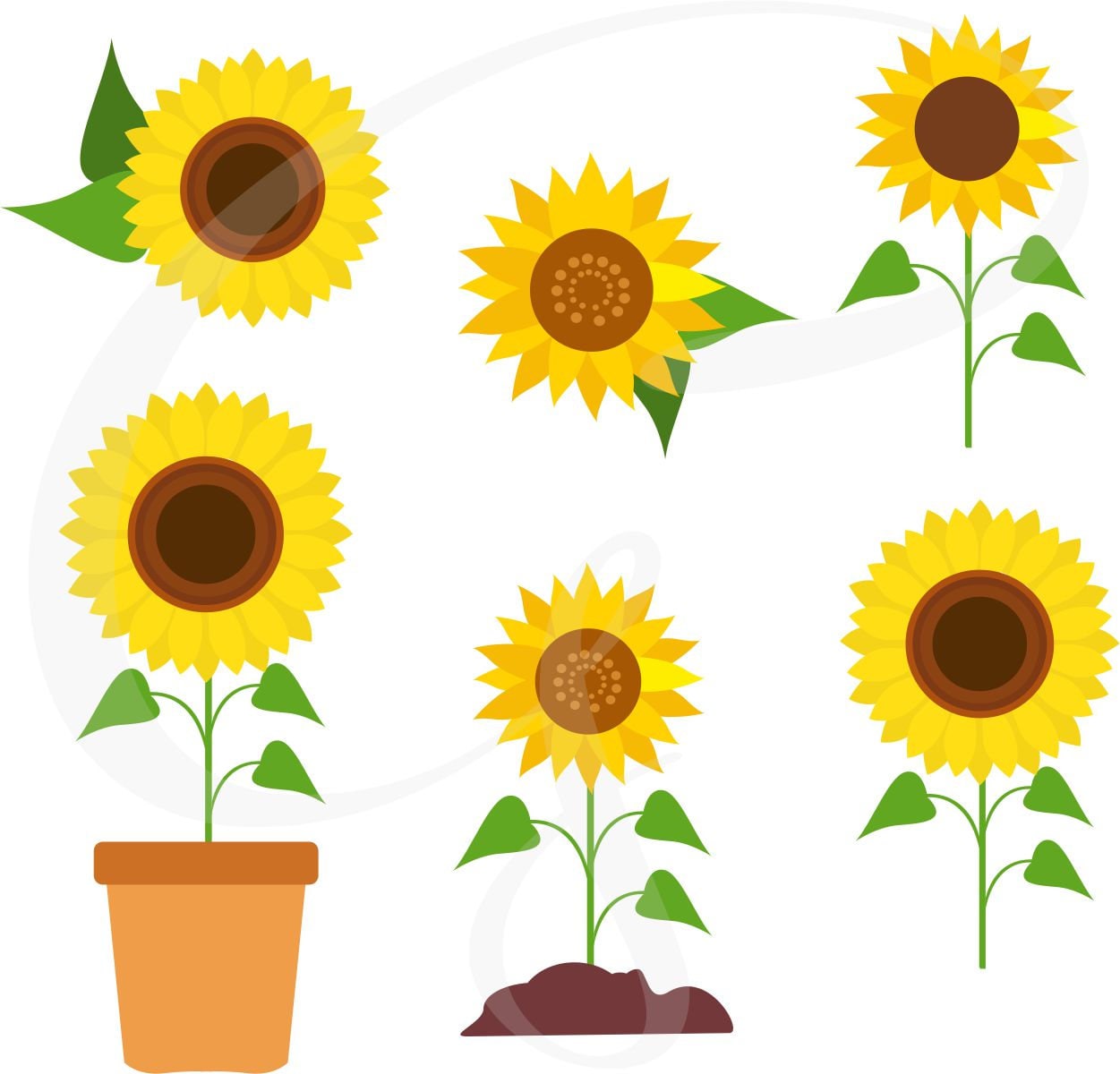 Download Sunflower clipart sunflower vector sunflowers flower