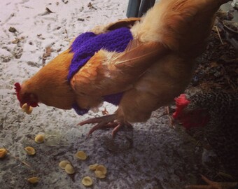 Chicken sweater, chickens, hen sweater, hens, sweaters, pets, crochet, purple, pets, pet clothing