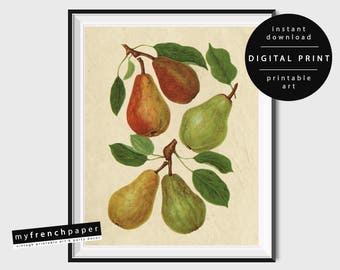 Digital Botanical Fruit Print Pear Print, Botanical Print Vintage Botanical Printable Botanical Art Prints Printable, Botanical Illustration