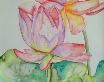 Original Watercolour Waterlily Wall Art