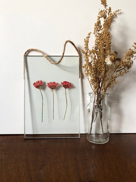 Real Pressed Flower Floating Frame Glass Wall Art
