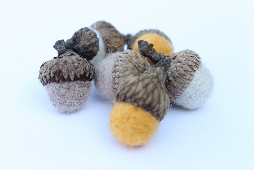 Needle Felted Wool Acorns Bowl Fillers Nature Home Decor