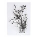 Clear flower stamp