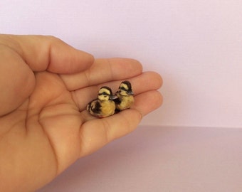 Miniature Duckling, Dollhouse Duckling, Handmade Duckling, Clay Duckling, Mini Duckling, Miniature Animal , 1 12 scale duckling
