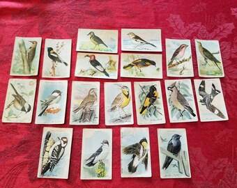 Useful Birds of America Trading Cards, Vintage Bird Cards, Arm & Hammer and Cow Brand, Church and Dwight Litho in USA All Grocers, M E Eaton