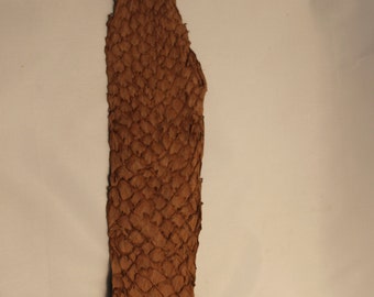 Brown Fish Skin