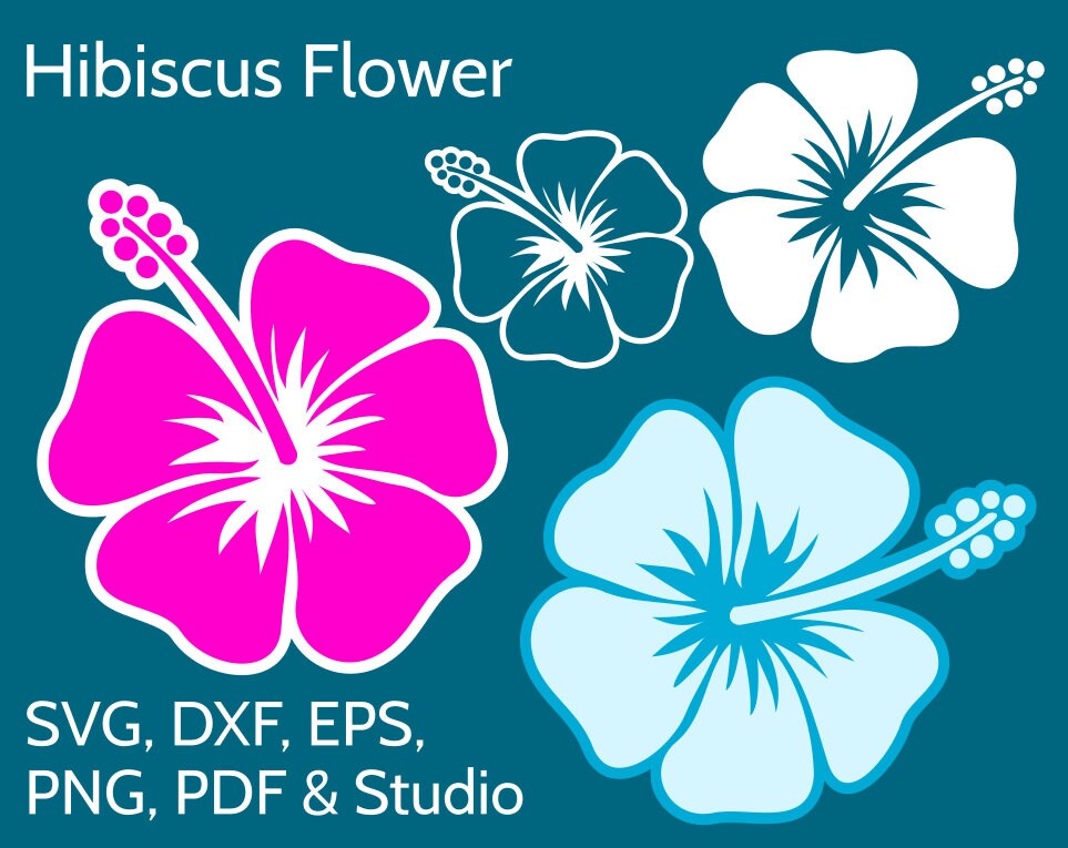 Download Hibiscus SVG Flower Clipart