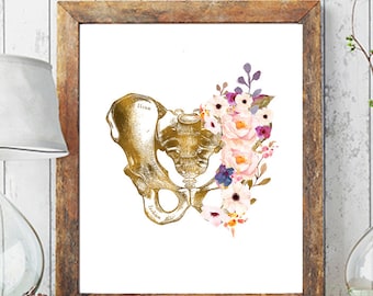 Pelvis Art, Anatomical Print, Physical Therapy Gift, Chiropractor Print, Medical Anatomy Art Doctor Gift Orthopedic Art Medical Office Decor