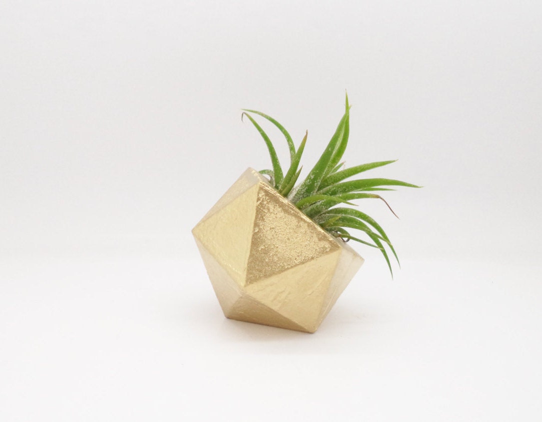 gold air plant holder