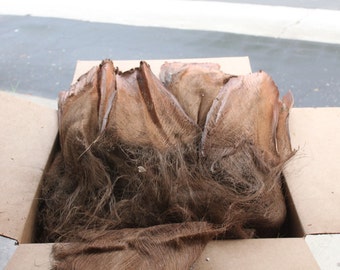 Coconut palm fiber bark- Coconut fiber- Tahitian costume supply, Polynesian dance costume, ting ting