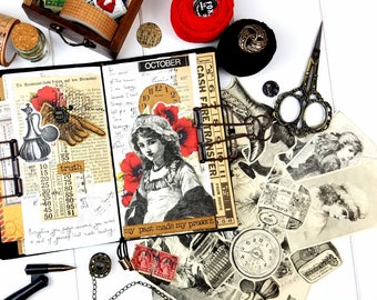 Victorian 1800's Illustration Ephemera Pack / Ephemera Pack / Vintage Ephemera/ Junk Journal Ephemera/ Vintage Magazine/ Collage