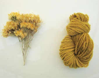 Natural Dye Sample Kit - Rabbitbrush