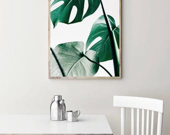 Plant prints | Etsy