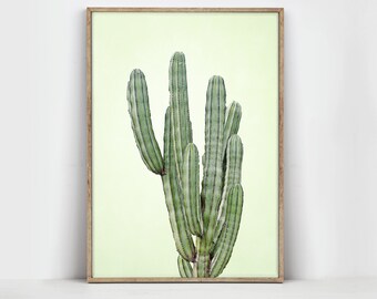 Cacti Print - Cactus Art - Cactus Poster - Cactus Wall Art