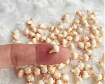 Miniature Garlic,Miniature Vegetable,Miniature Dolls house,Small Garlic,Miniature foods,Miniature accessories,miniature jewelry,Miniatures