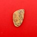 Squirrel Tail Rhyolite Cabochon Hand Cut Freeform Desingers Cabochon