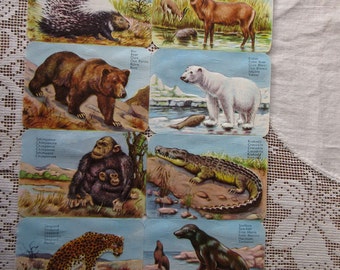 EAS Vintage Germany Animals Lithographed Die Cut Paper Scraps EAS 3113