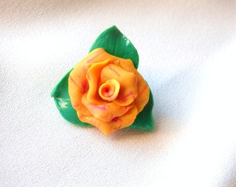 Its leaves and Pink Pearl * solar *.