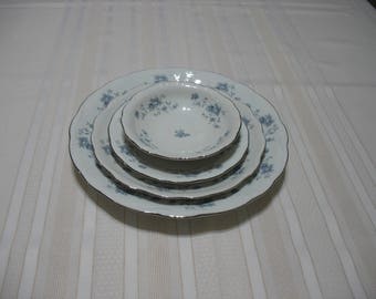 Johann Haviland Bavaria Germany Dinner Plate, Salad/Luncheon Plate, Dessert/Berry Bowl, Saucer, fine china