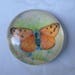 x 1 cameo/cabochon round glass orange tone 25 mm Butterfly pattern