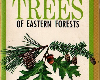 Important Trees of Eastern Forests + Rebecca Merrilees + 1968 + Vintage Reference Book