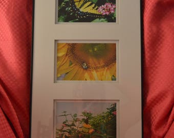 Butterfly/Bee with Flowers print